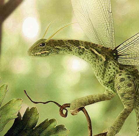 DDOS在线攻击平台